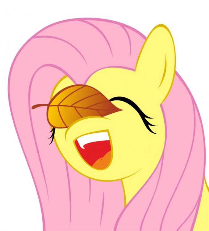 0b41ffc4a78b5f1d248189a44fd496d3--comic-art-fluttershy.thumb.jpg.f9787c11ed61eb1a4b9802c78f5c900f.jpg