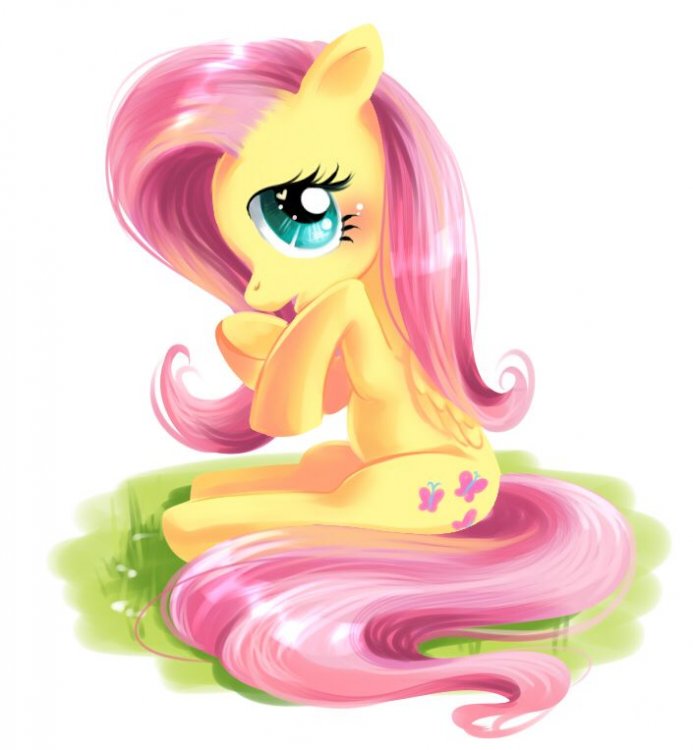 d8e093bba6a07118eed94f0eb004e897--pony-pony-fluttershy.jpg