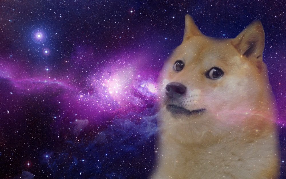 doge-wallpapers-high-resolution-For-Desktop-Wallpaper.thumb.jpg.4e366d2f0ed55bee685c5050d2b7425e.jpg