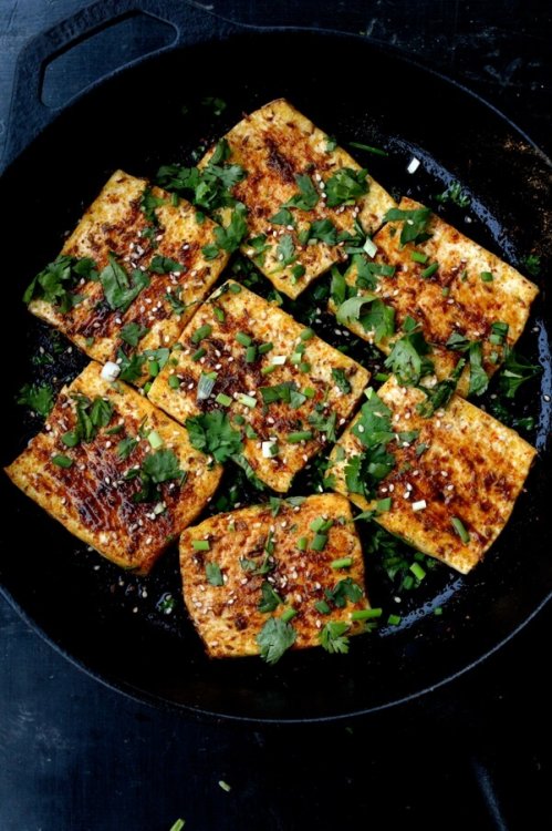 griddled-tofu-4.thumb.jpg.b7118cc76a06e452f6f9cf060e7c4a97.jpg