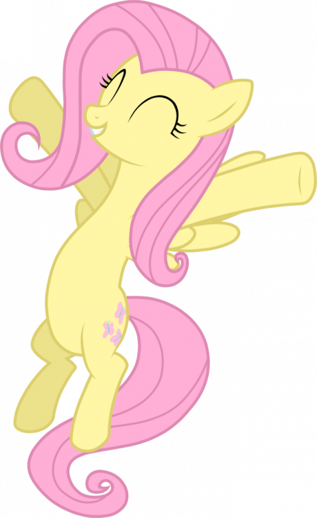 mlp_vector__happy_fluttershy_by_abigailartist-d95subb.thumb.png.0adb104b26392274f44c1c687f860b20.png