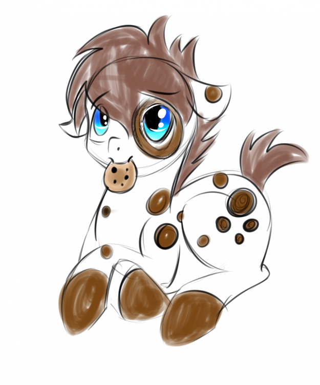 Chocolate chip.png