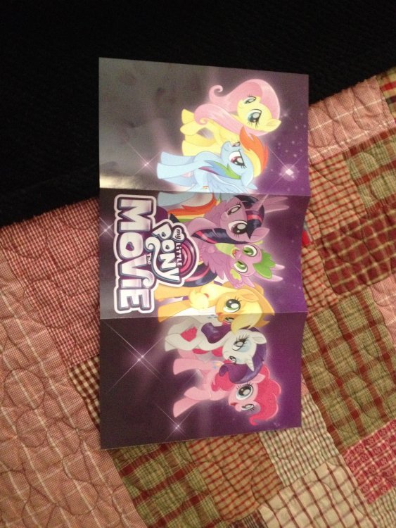 MLP Poster.JPG