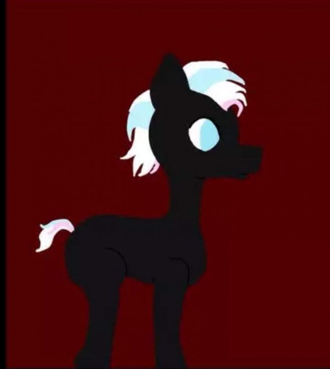 BO's first look.png