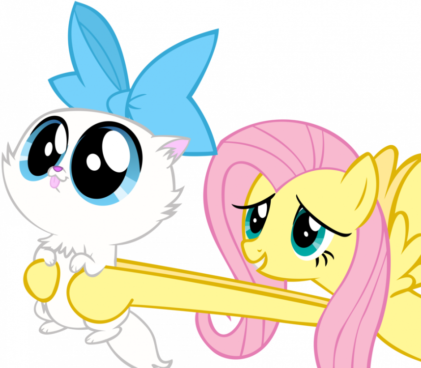 87521_-_artist-DantonDamnark_cat_fluttershy_Kitten.png