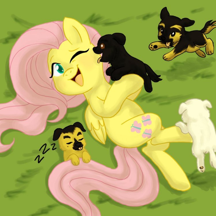 cute_fluttershy_playing_with_puppies_by_cookietime88-d5shm4l.png
