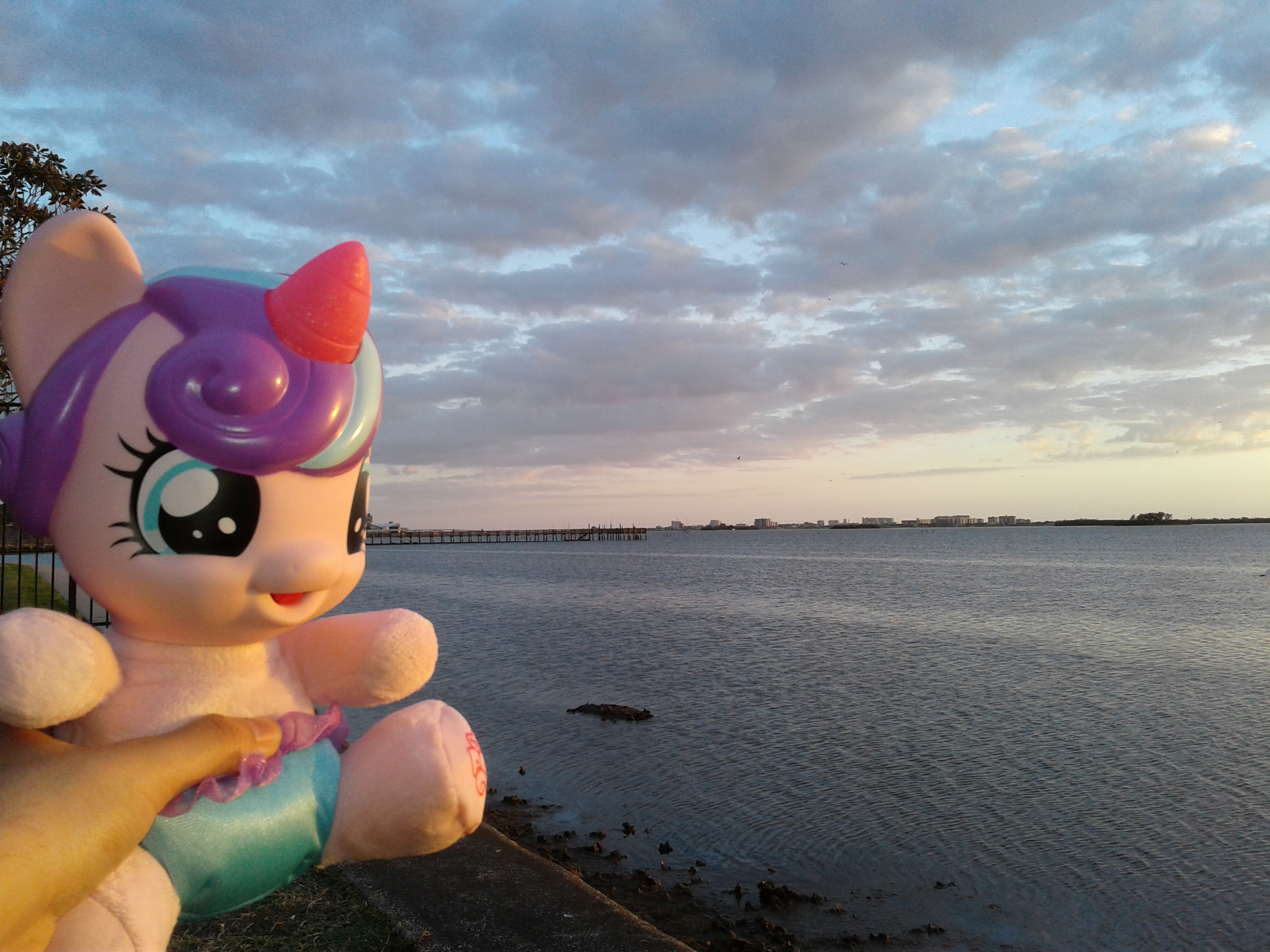 My little cheap pony beach video