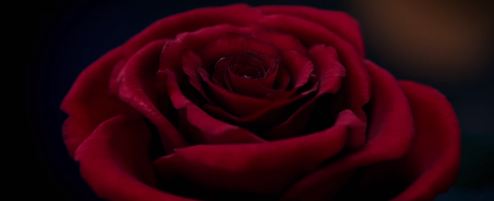 Beauty and the Beast Official US Teaser Trailer - YouTube.png