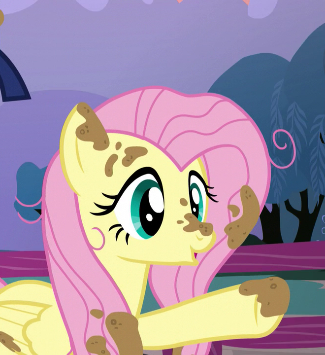 Twilight_and_Fluttershy_covered_in_mud_S5E3.png.d5b1a653a675db952b56cba34b35c234.png