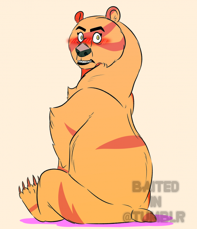 bear.png