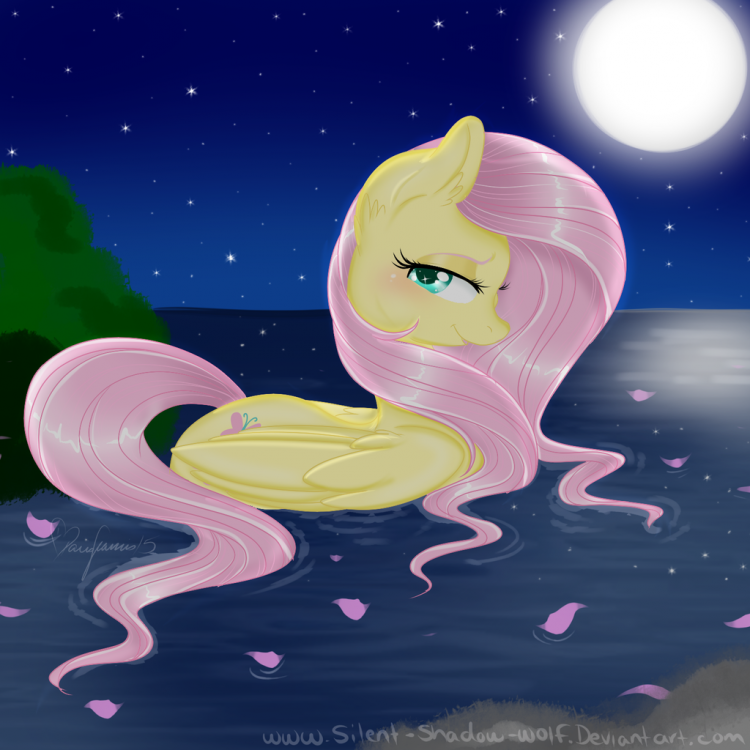 fluttershy_by_silent_shadow_wolf-d8w9aos.thumb.png.7df53079f07c81c941fe4385c386e543.png