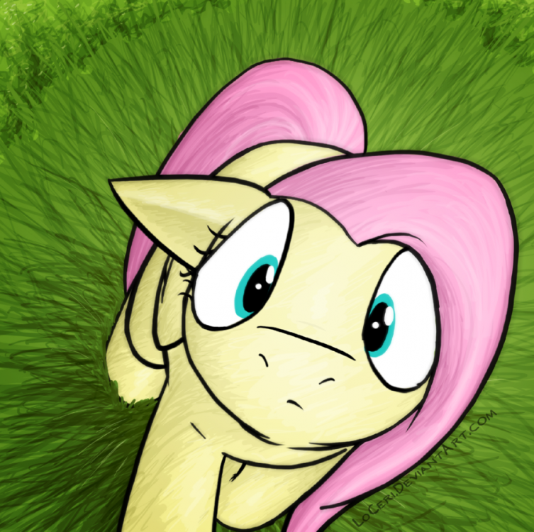 mlp_gaze_by_loceri-dbtwf03.thumb.png.426a05f297a8e2a37132432555f10343.png