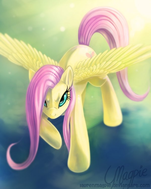 5a6d5673b3c0c_7381__safe_artist-colon-laurenmagpie_fluttershy_determined_female_mare_pegasus_pony_solo_spreadwings_wings.thumb.jpg.e1a3348143da3d10e1d4de015967b870.jpg