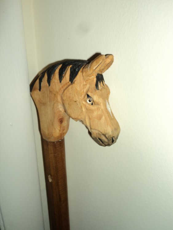 DSC00386.JPG