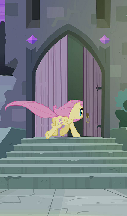 Fluttershy_and_Rarity_enter_castle_S4E03.png.d7656d8e669faddce37654b7c81255be.png