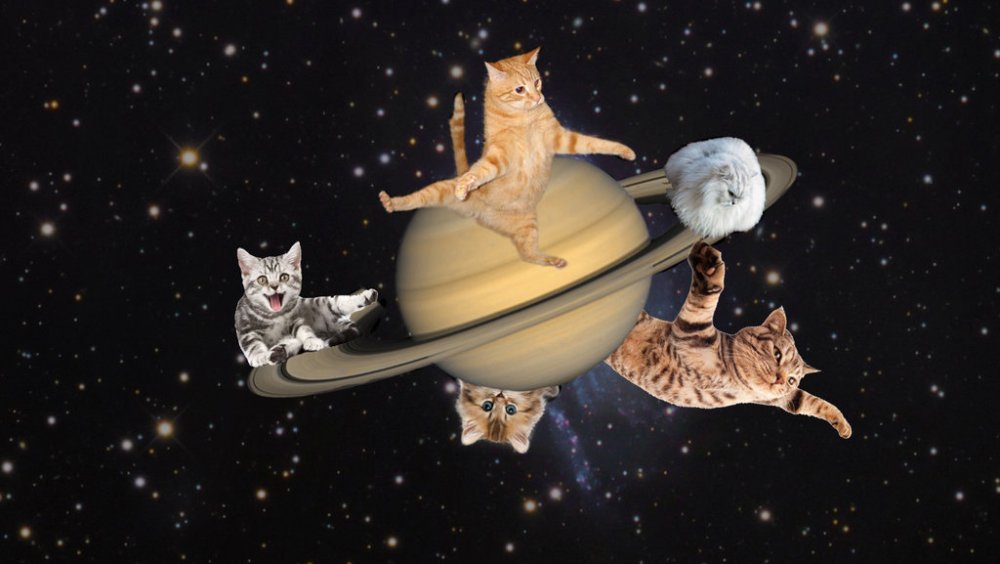 Saturn_with_Cats.thumb.jpg.2072b759f4e6d748f1a455624470f9d3.jpg