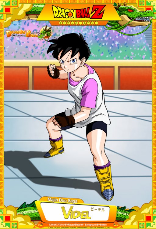 dragon_ball_z___videl_by_dbcproject-db1bstr.jpg