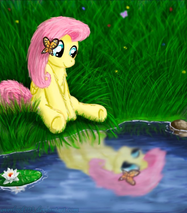 1033685__safe_solo_fluttershy_cute_water_shyabetes_reflection_artist-colon-overlord103.thumb.jpeg.15161e3d58920563a8301a41fd5f9916.jpeg