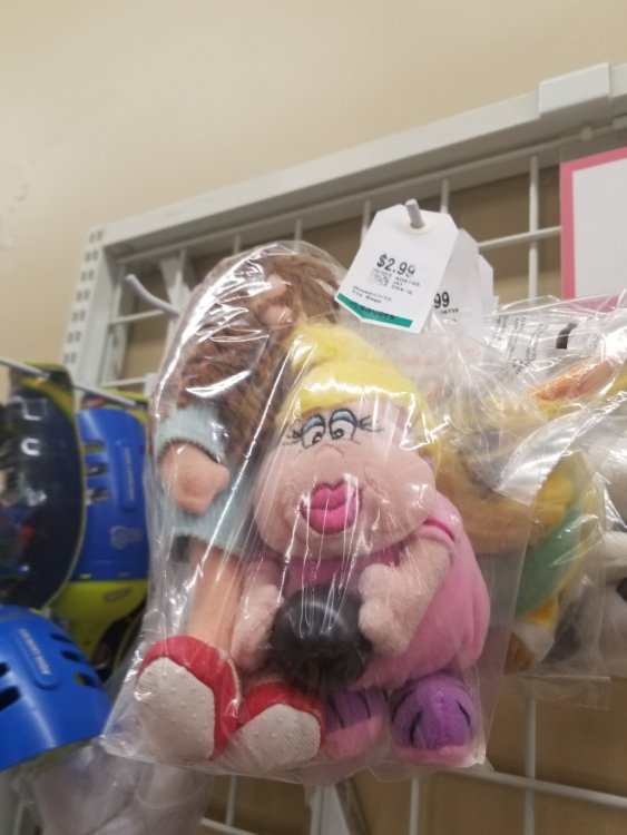 20180203_164909.thumb.jpg.039004e5827f624b9295fb8296b6faf3.jpg