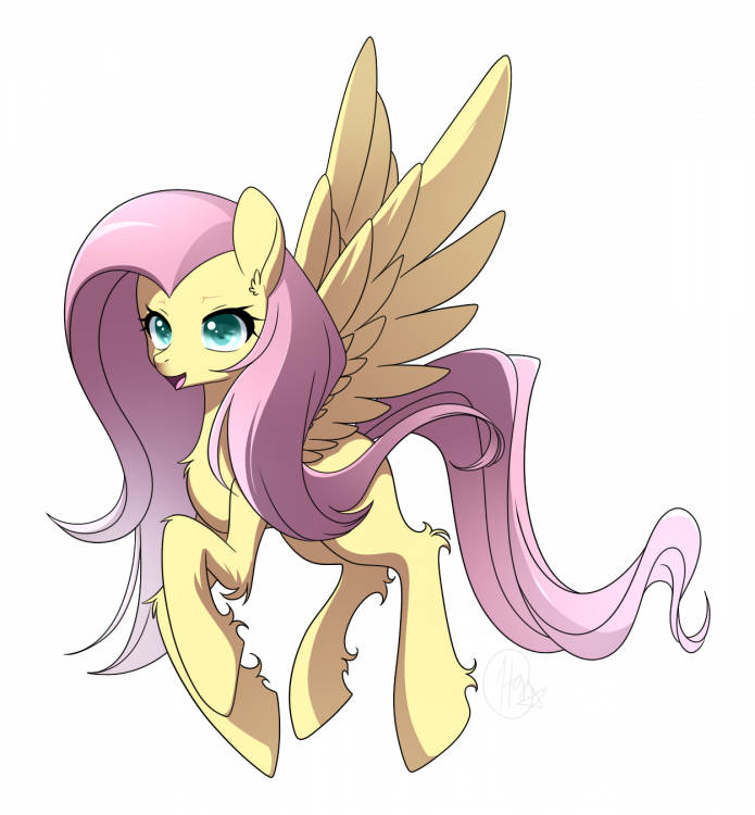 5a7bd304571fd_729943__safe_artist-colon-haydee_fluttershy_fluffy_simplebackground_solo_spreadwings_transparentbackground.thumb.png.1249be9cf740ba1c4198746e149d7b64.png