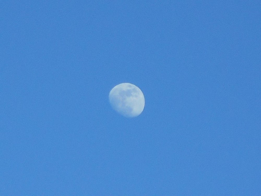 Moonshot 2 (Close-Up 11).JPG