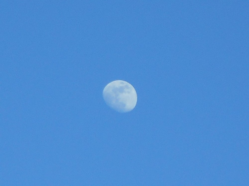 Moonshot 2 (Close-Up 12).JPG