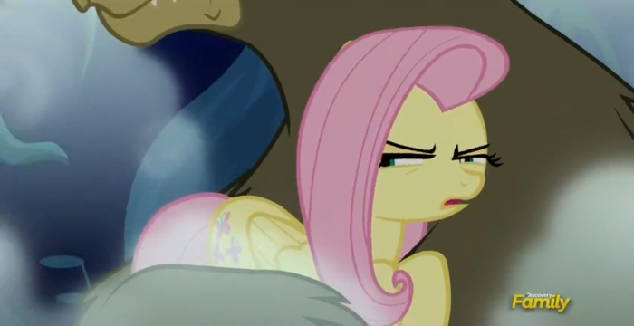 Fluttershyseriousface.png.9eed73e4edbdb979d36978e4e45ae990.png