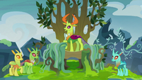 Thorax_standing_in_his_throne_S7E17.png.227d12b1747b70dd8ade40f1458e9fa3.png