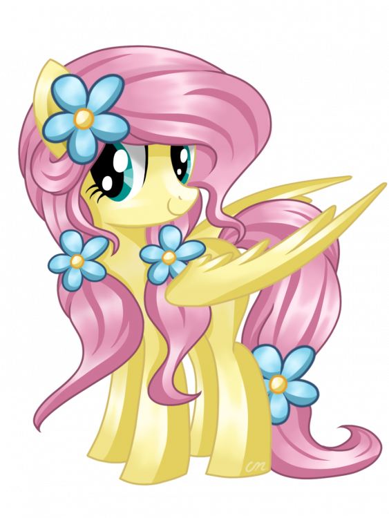 fluttershy__different_mane__by_sunshineshiny-d9qn8z6.thumb.png.6d764a2c45b28291dc16b8686b737ee5.png