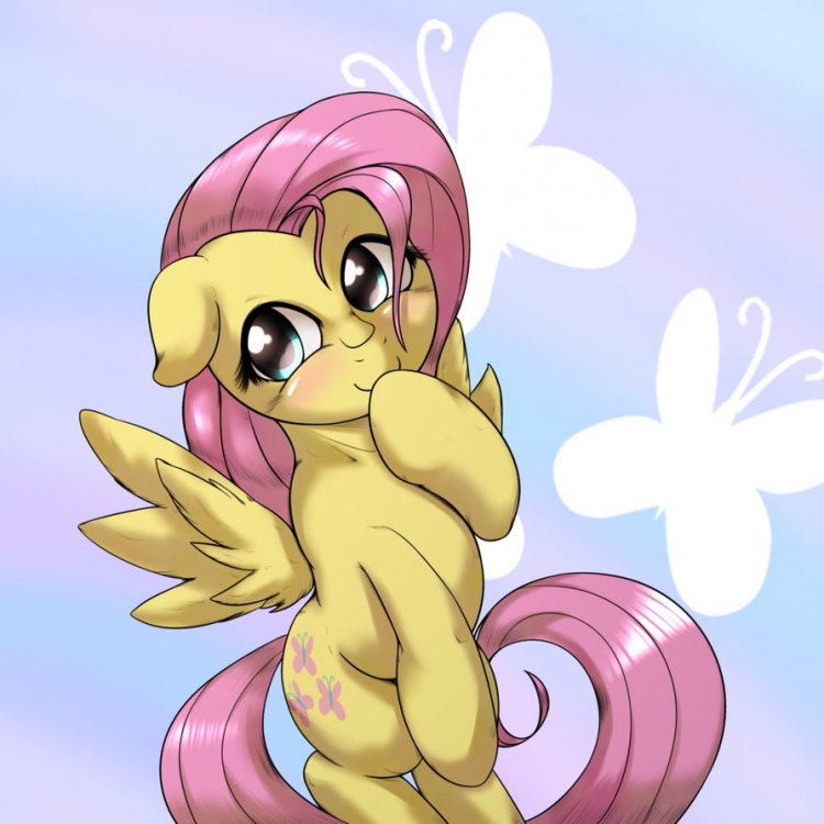fluttershy_by_behind_space-d9noq9p.png