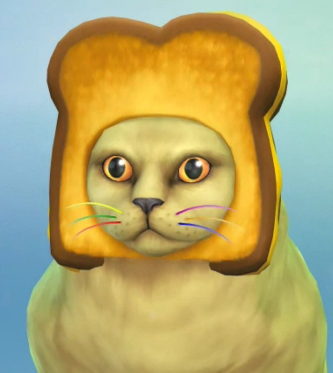 Catbo by Lethal.jpg