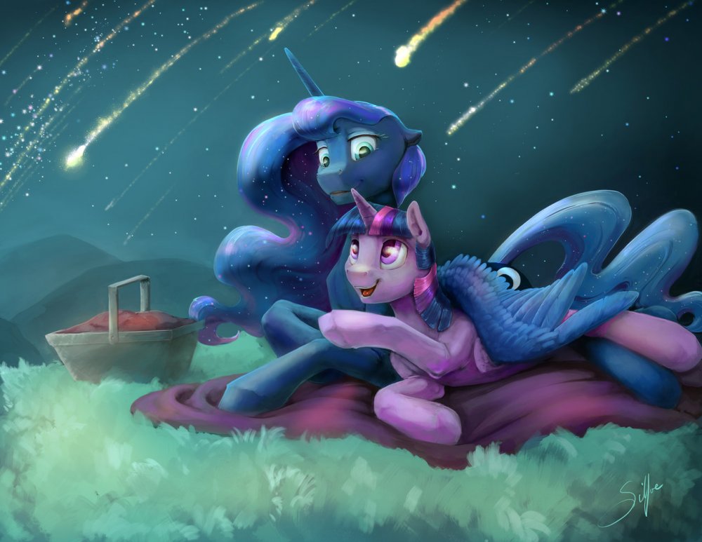 commission__meteor_shower_by_silfoe-dbe3t08.thumb.jpg.8d85f7036b8163e1c50697af3c8c7507.jpg