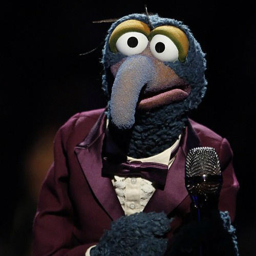 Gonzo-TheVoice-2012.jpg.417f6157841a9f014d3ff7edab38ac39.jpg