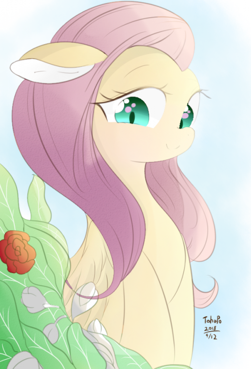 fluttershy_by_tohupo-dc8iwvz.thumb.png.dfc617d7a4413d103f409388843a73c6.png