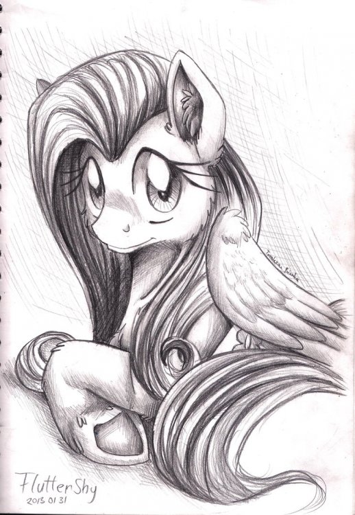 pencil_portrait___fluttershy_by_inuhoshi_to_darkpen-d5td6mi.thumb.png.48aeb01d06819f7e546696be459fc3ff.png