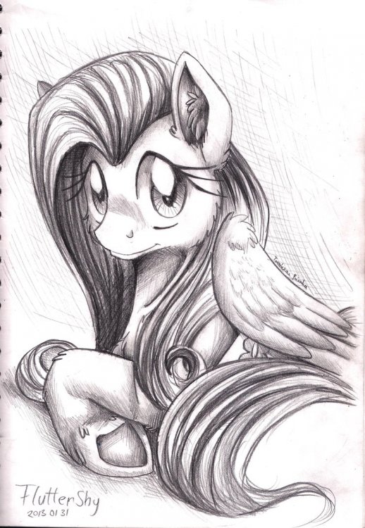 pencil_portrait___fluttershy_by_inuhoshi_to_darkpen-d5td6mi.thumb.png.f53fc408e12ea10d06a9c3bbc7c1fb0f.png