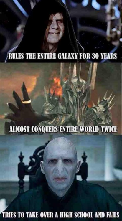 precious-lord-of-the-rings-memes-are-spicier-than-the-fires-of-mount-doom-32-photos-21.jpg