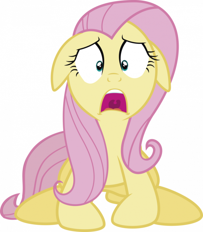 25.thumb.png.66d445093389f2f75f34048fcea22c6a.png