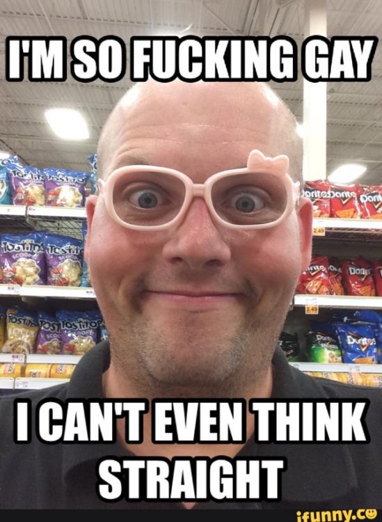 i-cant-even-funny-gay-memes.thumb.jpg.7c23166f2a8cd4fd24c8a01c87cfd816.jpg