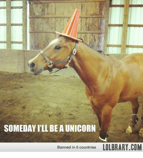 someday-ill-be-a-unicorn-banned-in-0-countries-lolbrary-com-3995874.png.9452acc2b7830b6a65813c970fa30508.png