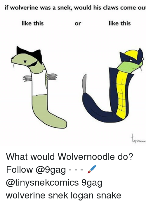 A71D7584-387C-425B-8281-7D5093A2E1A6.png.1a097958bbd26c4f0df340d99268b6bf.png
