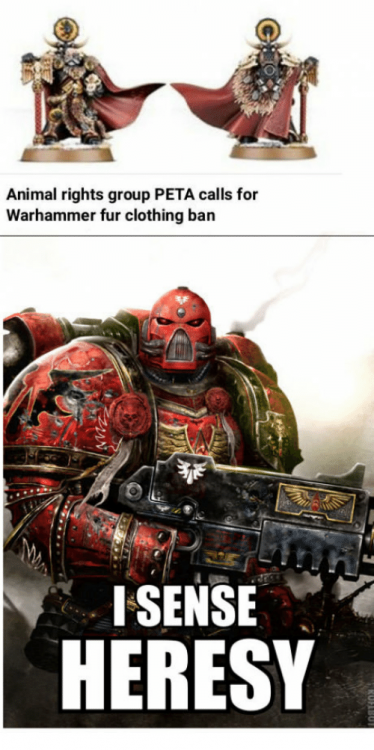 AC203E32-B82B-4FA3-804E-C9C91AF6D5EF.png