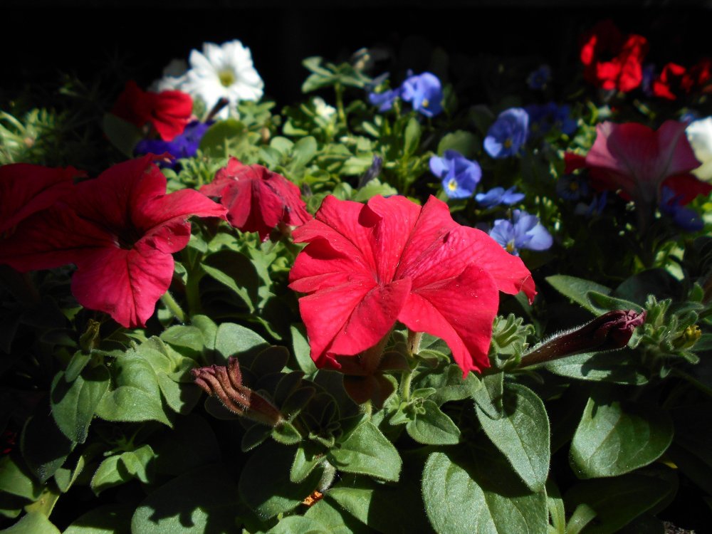 DSCN1703.JPG