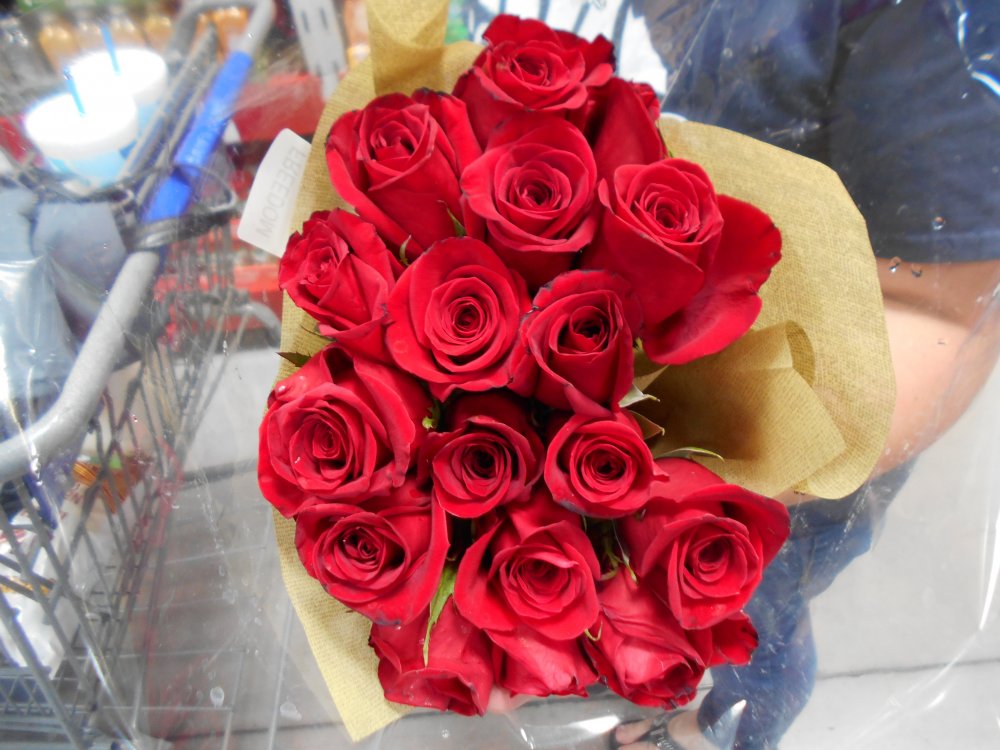 DSCN1731.JPG