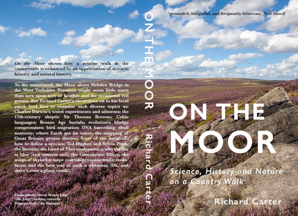On-the-Moor-cover-front&back.jpg