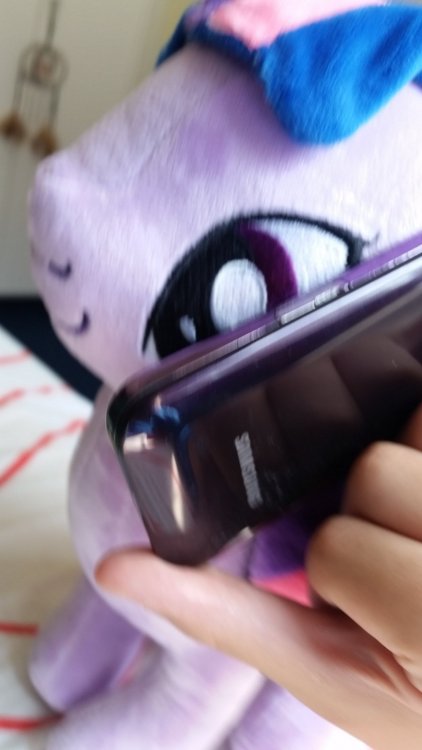 20180707_130156.thumb.jpg.a3a51b912c52ebd8835093f57ec45594.jpg