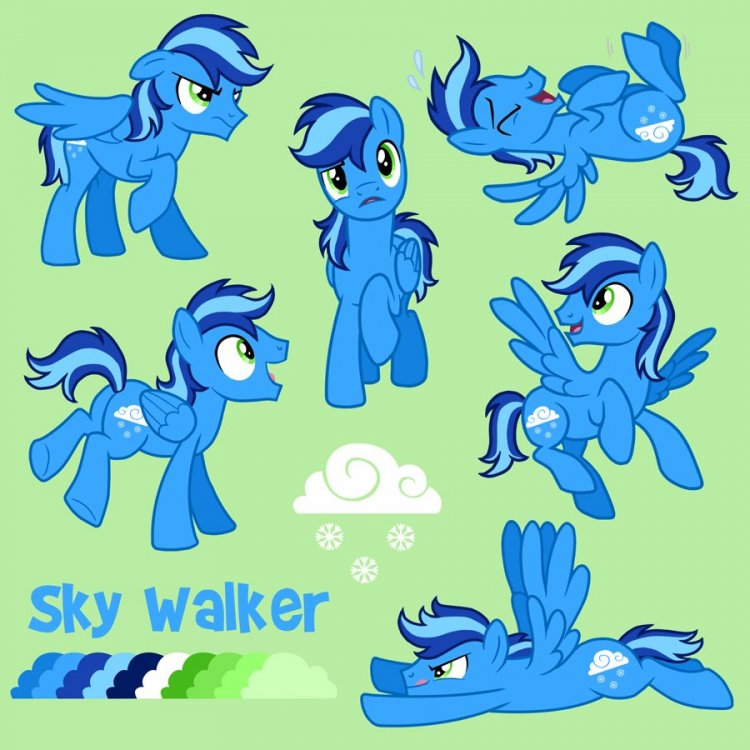 Sky Walker final low-res.jpg