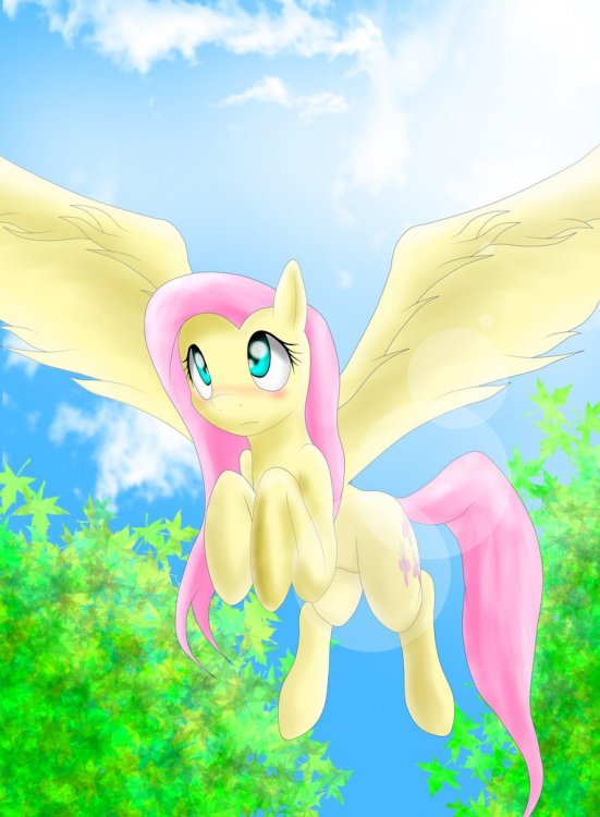 fluttershy_by_sadakathebronywolf-d6n9c0b.thumb.jpg.517f871d6c9291e7f33c17ae581ad285.jpg