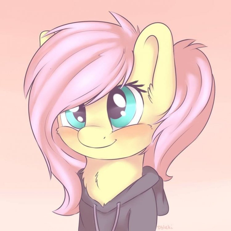 fluttershy_with_hoodie_by_dbleki-datbijy.thumb.png.5ca923d6717064175b6e7a9107e9864f.png