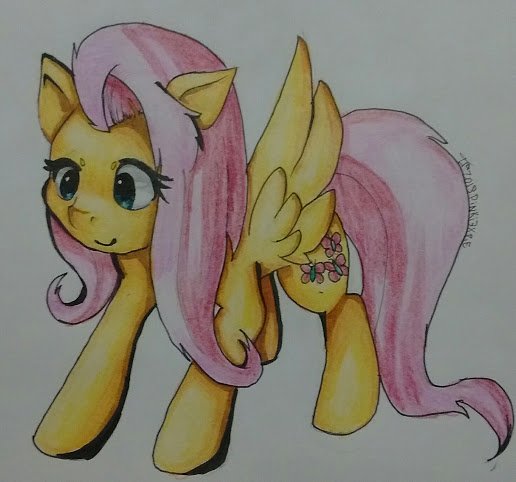 flutterwonder_by_pinki3xpie-d9j6gyn.jpg.96f350c0097d002f42dd32a664076964.jpg